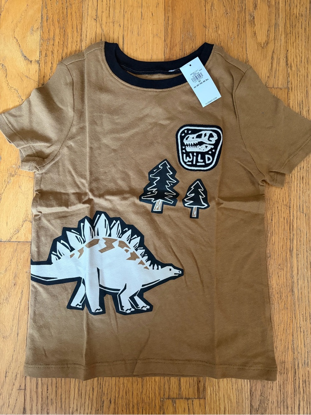 Kids' Brown Dinosaur Graphic Tee